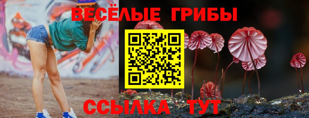 Галлюциногенные грибы прущие грибы Красноармейск